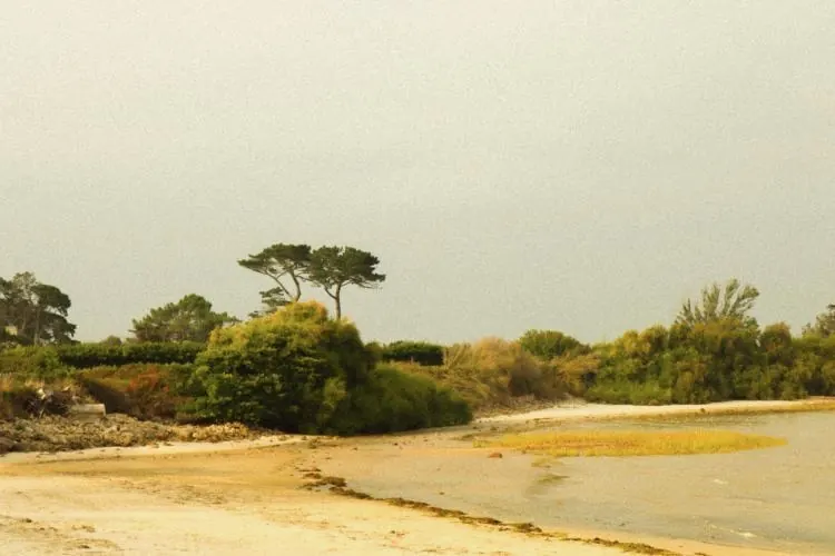 Paysage calme du littoral